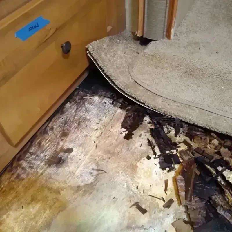 Best Wood Floor Water Damage Service in Christiana, PA